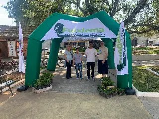 Samae e Fundema distribuem mudas de árvores e flores - 1
