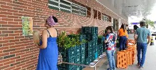 Supermercado Archer distribui mudas em comemoração ao Dia da Árvore - 2
