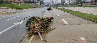 O que fica depois que a água volta para o leito do rio - 7