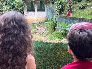 Halloween no Zoo: grupos fazem visita guiada no parque - 3