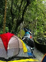 Evento no Zoobotânico de Brusque atrai diversos profissionais - 9