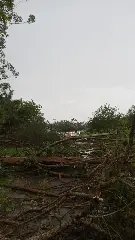 Temporal volta a castigar São João Batista  - 3