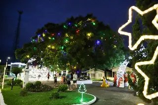 GALERIA: Confira a decoração natalina em Guabiruba - 13