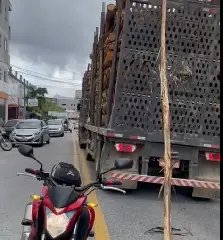 (VIDEO) Tora cai de caminhão e atinge carro em Brusque  - 2