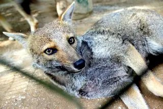 Parque Zoobotânico de Brusque é opção para as férias - 1