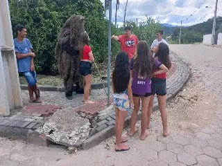 Sociedade do Pelznickel fecha temporada 2023 com desfile - 5