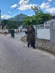 Sociedade do Pelznickel fecha temporada 2023 com desfile - 6