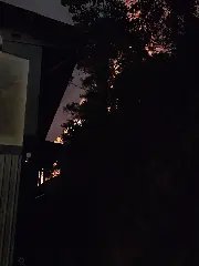 Incêndio atingiu área de mil metros quadrados em Brusque - 1
