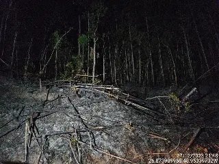 Incêndio destrói 10 mil metros quadrados de mata em Gaspar - 4
