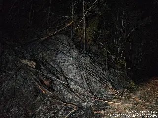 Incêndio destrói 10 mil metros quadrados de mata em Gaspar - 2