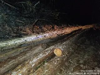 Incêndio destrói 10 mil metros quadrados de mata em Gaspar - 3