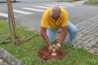 Arborização em Brusque: projeto piloto planta 84 novas árvores frutíferas - 2