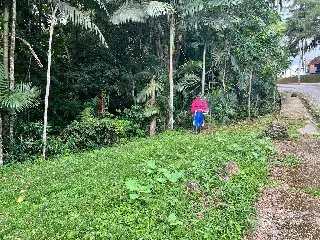Prefeitura de Brusque realiza mutirão para recuperação de albergue municipal - 1
