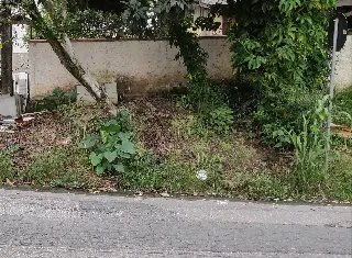 Caminhão prometido para recolher lixo não passou - 5