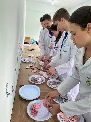 Acadêmicos da UNIFEBE atuam no SUS de quatro cidades da região  - 1