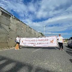 Mais de 200 cães participam da Cãominhada em Brusque  - 2