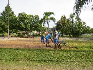 Praça no Jardim Maluche recebe mutirão de limpeza - 8