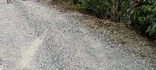 Carro sai da pista e despenca em ribeirão em Botuverá  - 1