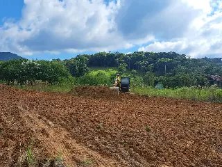 Obras da nova creche do Limeira começam com limpeza do terreno - 2