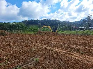 Obras da nova creche do Limeira começam com limpeza do terreno - 3