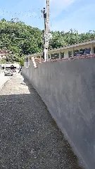Luciano Hang reforma biblioteca da escola João XXIII - 1