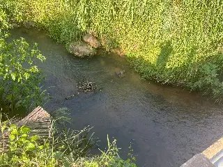 (VIDEO) Motociclista colide em mureta de ponte e cai em ribeirão - 1