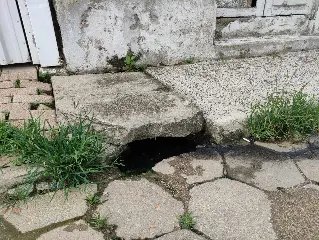 Esgoto a céu aberto incomoda moradores no Santa Terezinha - 1