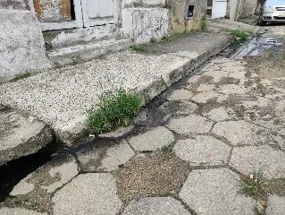 Esgoto a céu aberto incomoda moradores no Santa Terezinha - 3