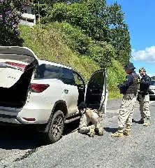 Procurado por feminicídio foge de abordagem é preso com carro roubado - 2