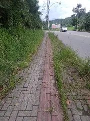 Mato avança sobre calçada e indigna moradores do São Pedro - 3