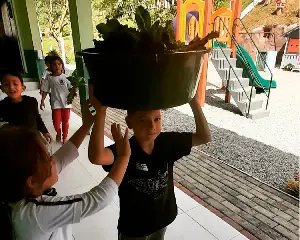 Escolas de Campo: um refúgio de Educação e contato com a natureza - 4