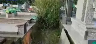 (VÍDEO) Reportagem mostra que cemitério está mal cuidado - 1