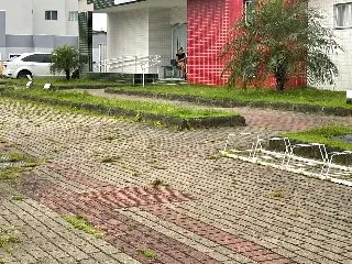 (VÍDEO) Mato continua tomando conta de rua no Rio Branco  - 2
