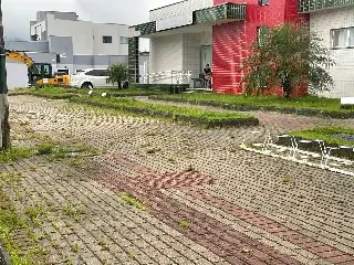 (VÍDEO) Mato continua tomando conta de rua no Rio Branco  - 1