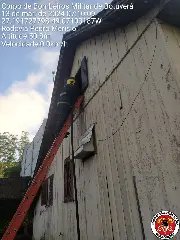 Bombeiros divulgam informações sobre o incêndio em Botuverá  - 8