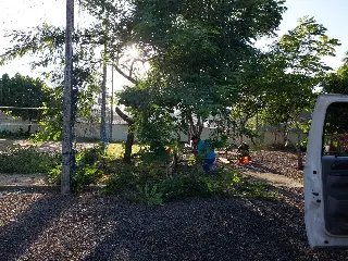 Secretaria faz limpeza da praça  no Bruschal após reportagem - 3