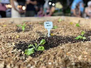 Evento OsterBrusque dá início à Páscoa na cidade - 4