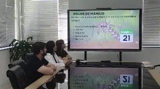 (VIDEO) Prefeitura anuncia novas medidas de enfrentamento da dengue  - 2