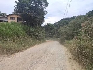(VÍDEO) Moradores reclamam de matagal no Santa Luzia - 4