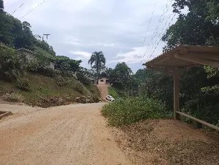 (VÍDEO) Moradores reclamam de matagal no Santa Luzia - 1