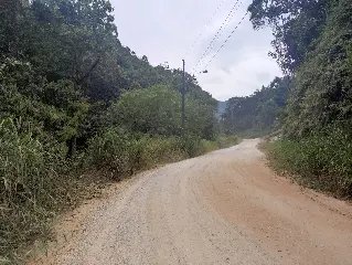 (VÍDEO) Moradores reclamam de matagal no Santa Luzia - 6
