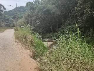 (VÍDEO) Moradores reclamam de matagal no Santa Luzia - 3