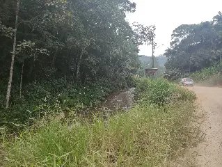 (VÍDEO) Moradores reclamam de matagal no Santa Luzia - 2