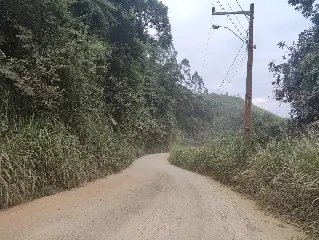 (VÍDEO) Moradores reclamam de matagal no Santa Luzia - 7