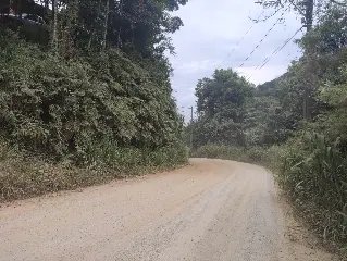 (VÍDEO) Moradores reclamam de matagal no Santa Luzia - 5