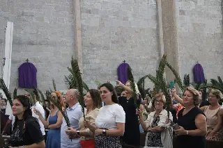 Procissão e celebração do Domingo de Ramos dão início à Semana Santa - 16