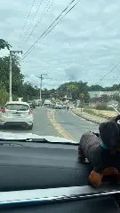 Motorista perde controle de carro, bate e derruba poste em Guabiruba  - 3