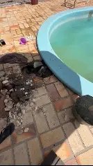 Bebê é resgatado após ficar preso em ralo externo de piscina - 2