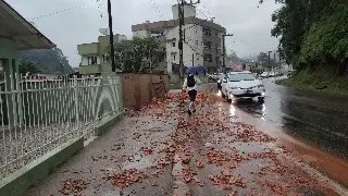 (VÍDEO) Tijolos espalhados pela calçada causam transtorno - 3