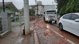 (VÍDEO) Tijolos espalhados pela calçada causam transtorno - 1